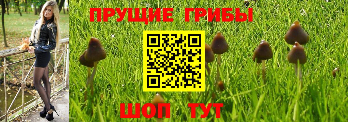 Псилоцибиновые грибы MAGIC MUSHROOMS Зерноград