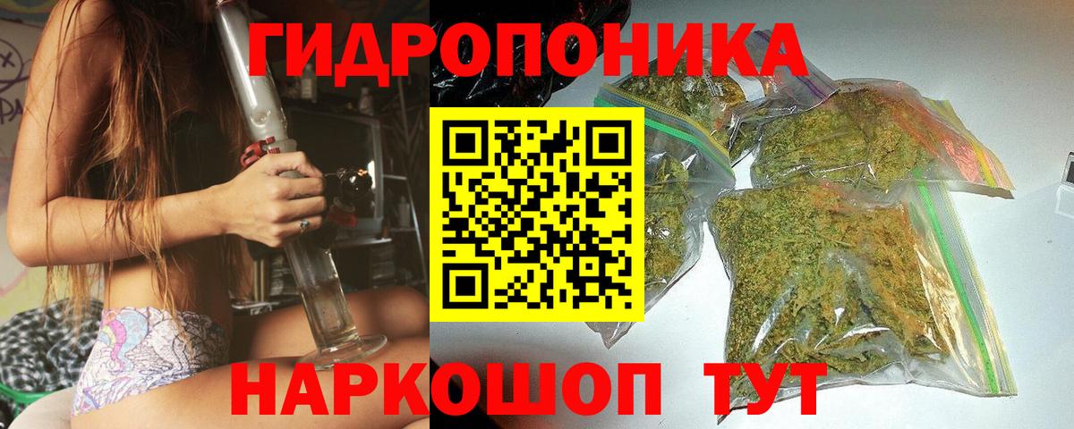 Каннабис планчик  Вход с VPN  Канабис конопля  Зерноград 